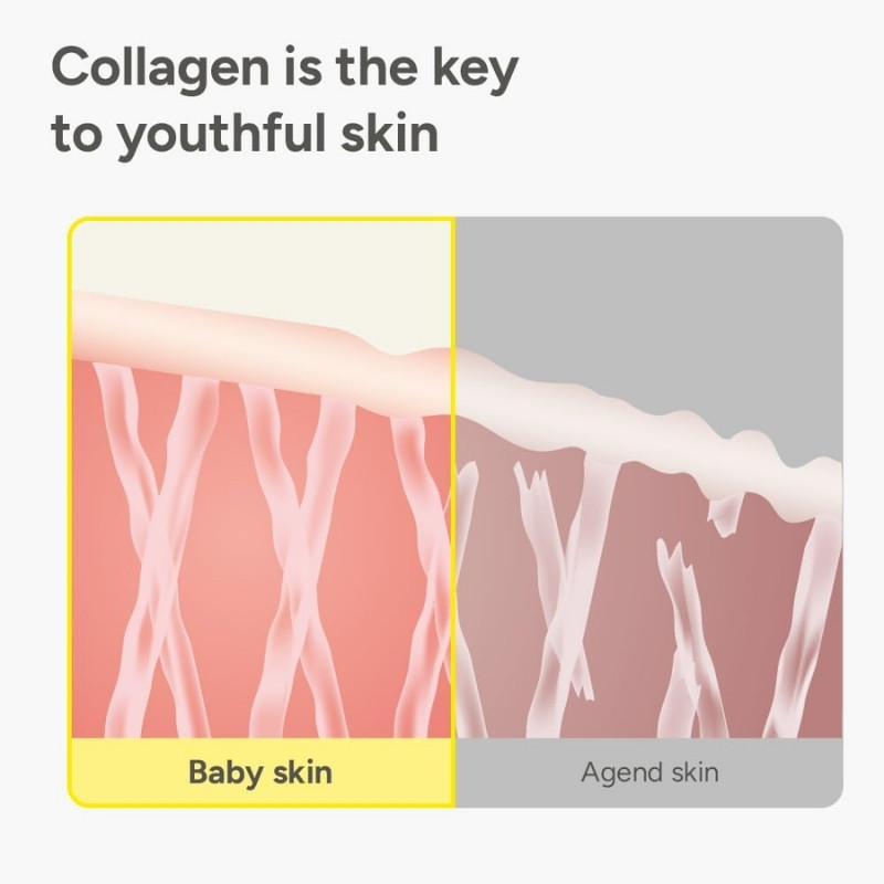 SUNGBOON EDITOR Deep Collagen Anti-wrinkle Cream In Serum | Collagen & Niacinamide Face Serum for Women | Hydrating for Sensitive Skin | Glass Skin Korean Skincare