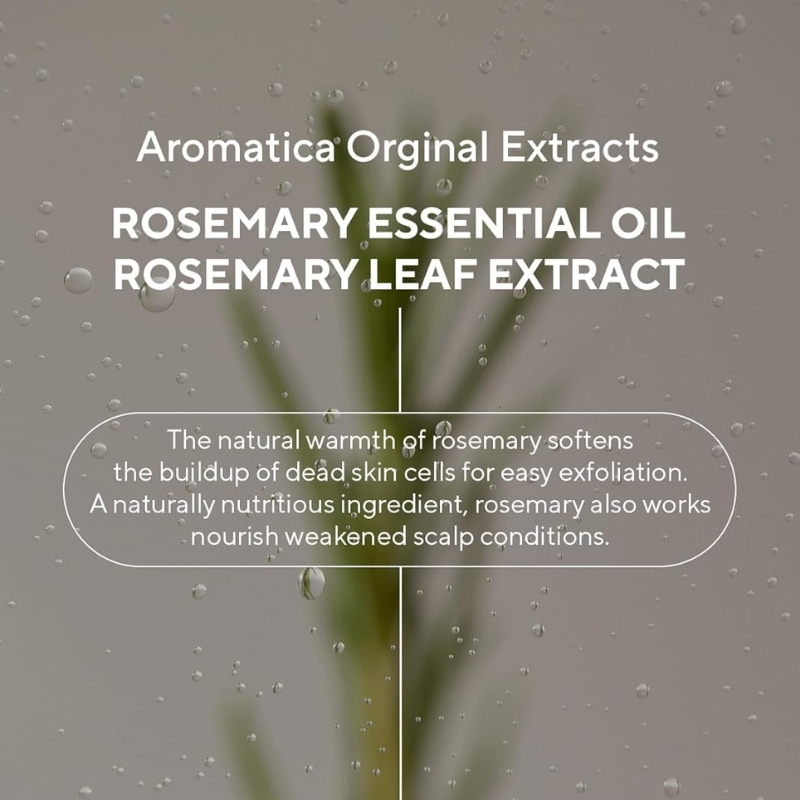 AROMATICA Rosemary 3-IN-1 Treatment 5.4 fl.oz / 160ml - Nourishes, Moisturizes, and Adds Shine & Softness with Rosemary & Betaine